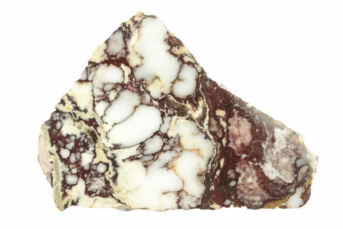 Polished Wild Horse Magnesite Slice - Arizona #264050
